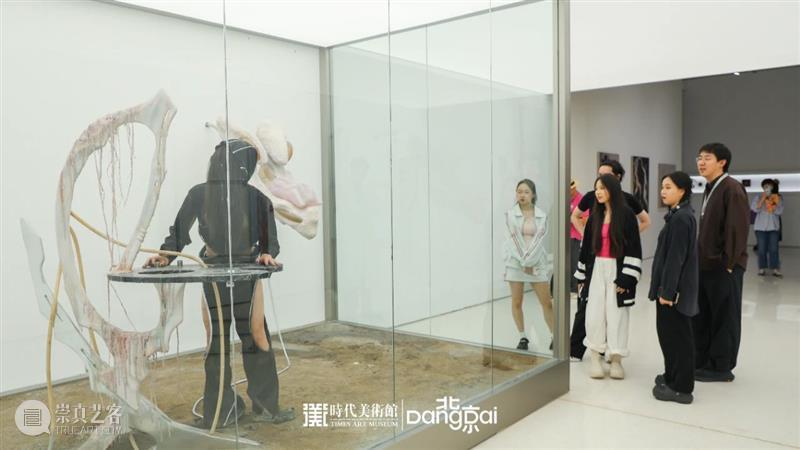 北京7月 | 17个不可错过的新媒体艺术展 崇真艺客