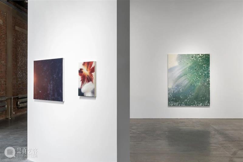 正在展出|北京公社正在展出石佳韵同名个展《石佳韵》 崇真艺客