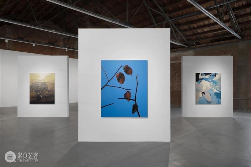 正在展出|北京公社正在展出石佳韵同名个展《石佳韵》 崇真艺客