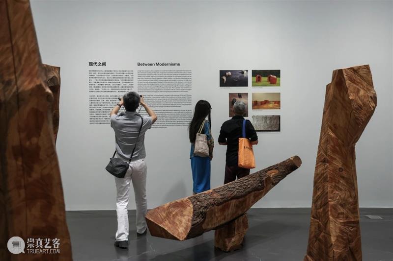 “梁好:步虚”特邀导览丨在林中:与策展人漫步 崇真艺客