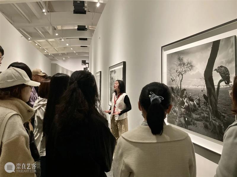 多样化的导览服务,为你打开观展新世界 崇真艺客