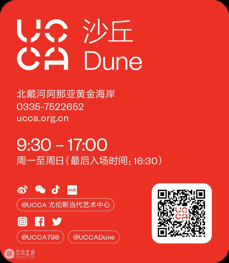 “鸟头:云云”展览系列公共实践项目回顾 崇真艺客