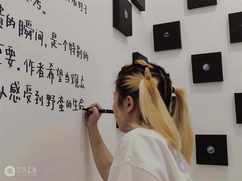 CYE × 陈希 ：碎片重构下的秩序·下篇 崇真艺客