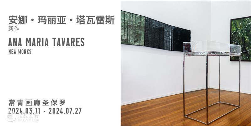 常青圣吉米那诺|正在呈现雷安德罗·埃利希个展“封窗后的夜航” 崇真艺客