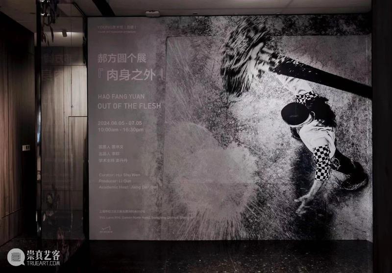 艺术论坛·文献｜肉身之外——郝方圆个展 崇真艺客