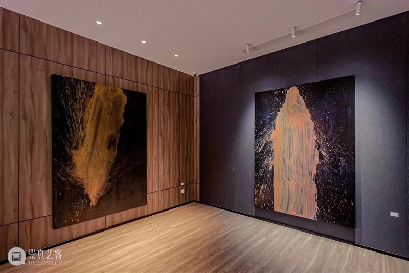 艺术论坛·文献｜肉身之外——郝方圆个展 崇真艺客