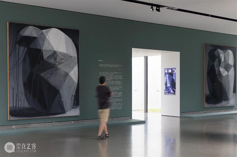 TAG策展人说 | 马轲:前奏与沉思 崇真艺客