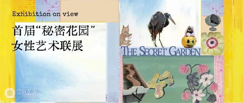 艺术家|朴普:人生不设限,画画更不应设限 崇真艺客