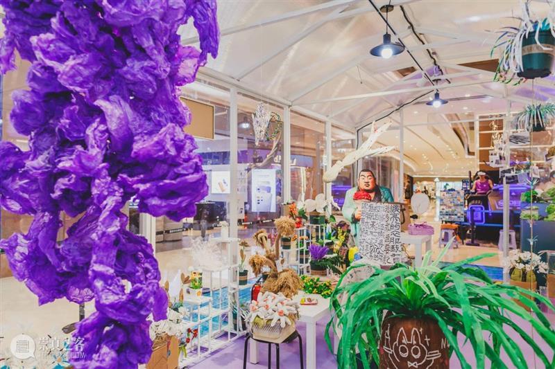 开幕 | “有记花房”&“过曝的金丝绒” 崇真艺客