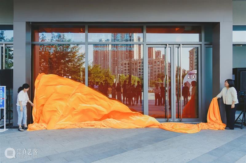 开幕 | “有记花房”&“过曝的金丝绒” 崇真艺客