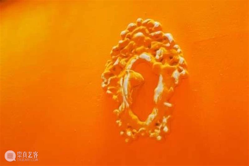 开幕 | “有记花房”&“过曝的金丝绒” 崇真艺客