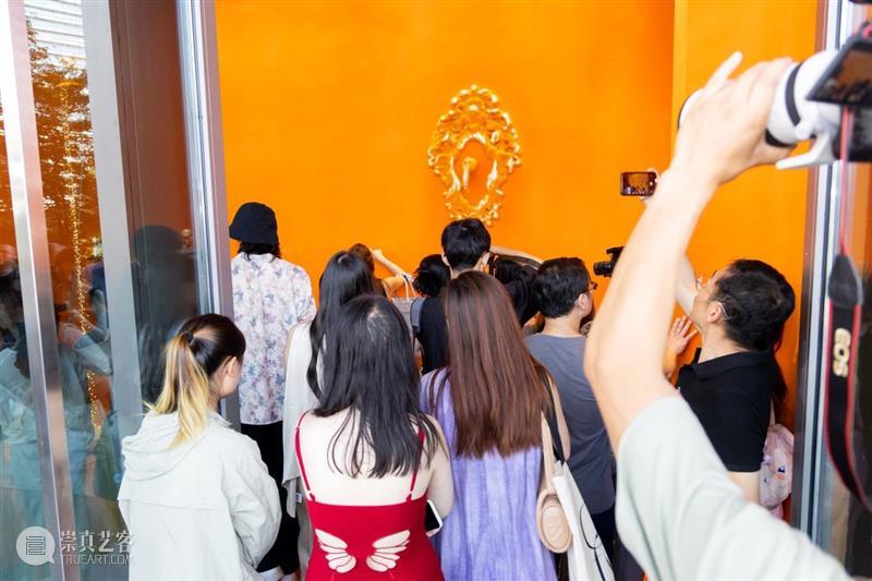 开幕 | “有记花房”&“过曝的金丝绒” 崇真艺客