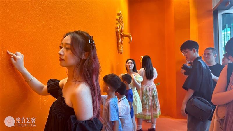 开幕 | “有记花房”&“过曝的金丝绒” 崇真艺客