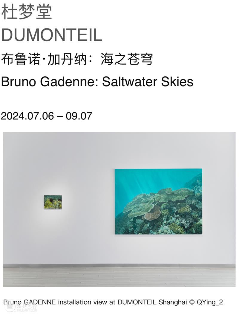 上海夏日，艺术也在燃烧吗？ 崇真艺客