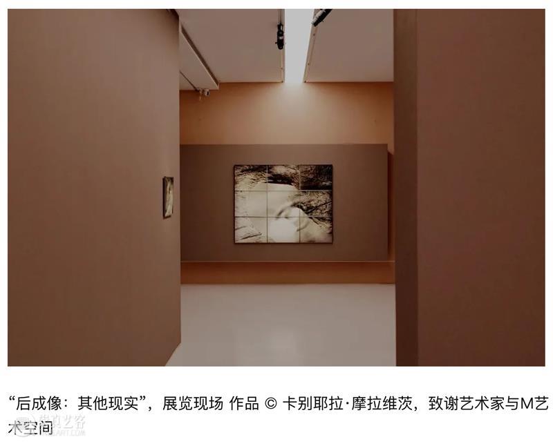 上海夏日，艺术也在燃烧吗？ 崇真艺客
