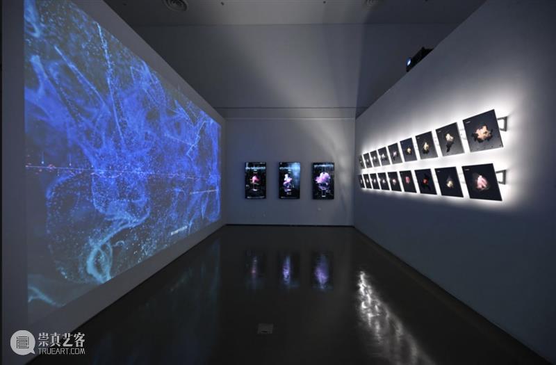 活动 | 第十四届全国美展油画艺术专题讲座：浅谈油画艺术及欣赏 崇真艺客