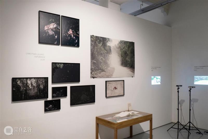 香格纳新加坡 | 赵仁辉“未见之事的证据”展览介绍（下） 崇真艺客