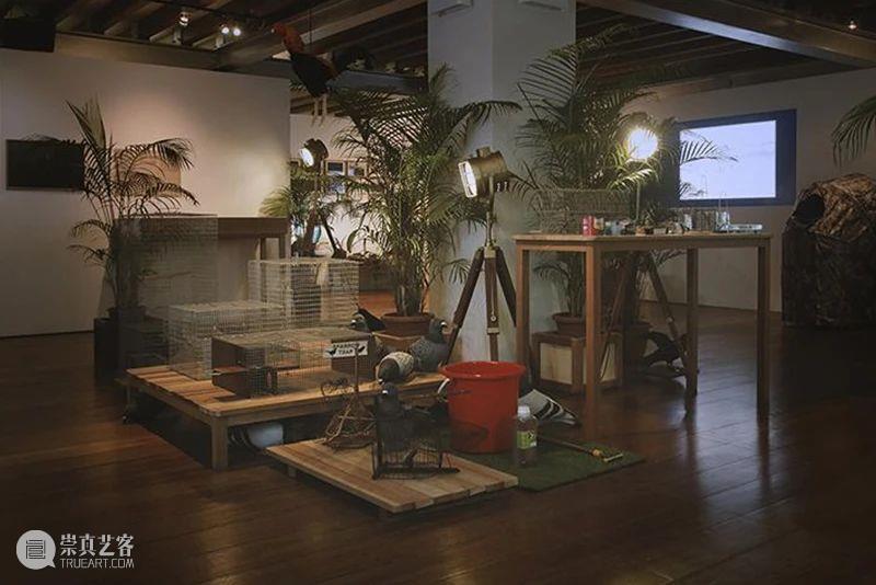 香格纳新加坡 | 赵仁辉“未见之事的证据”展览介绍（下） 崇真艺客