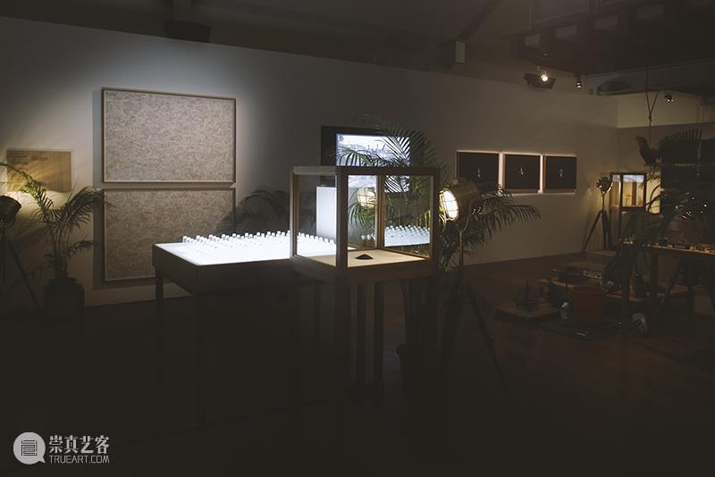 香格纳新加坡 | 赵仁辉“未见之事的证据”展览介绍（下） 崇真艺客
