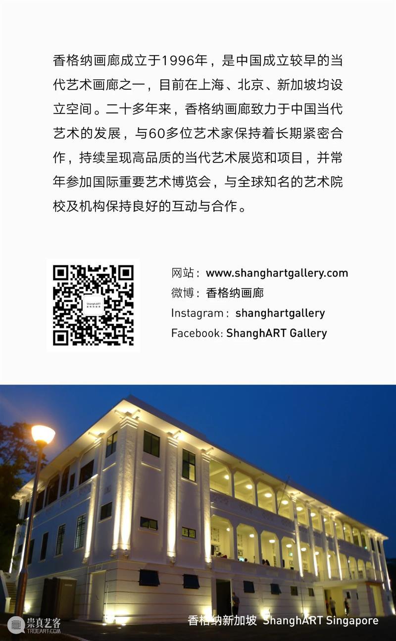 香格纳新加坡 | 赵仁辉“未见之事的证据”展览介绍（下） 崇真艺客