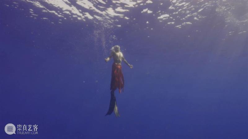 「松」展览|海笼:如何理解超越人类的正义? 崇真艺客