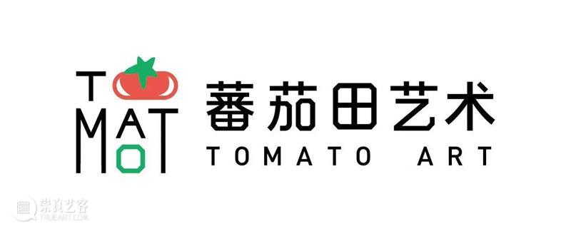 本周日 7.28｜动画制作儿童工作坊：费纳奇镜再现 崇真艺客
