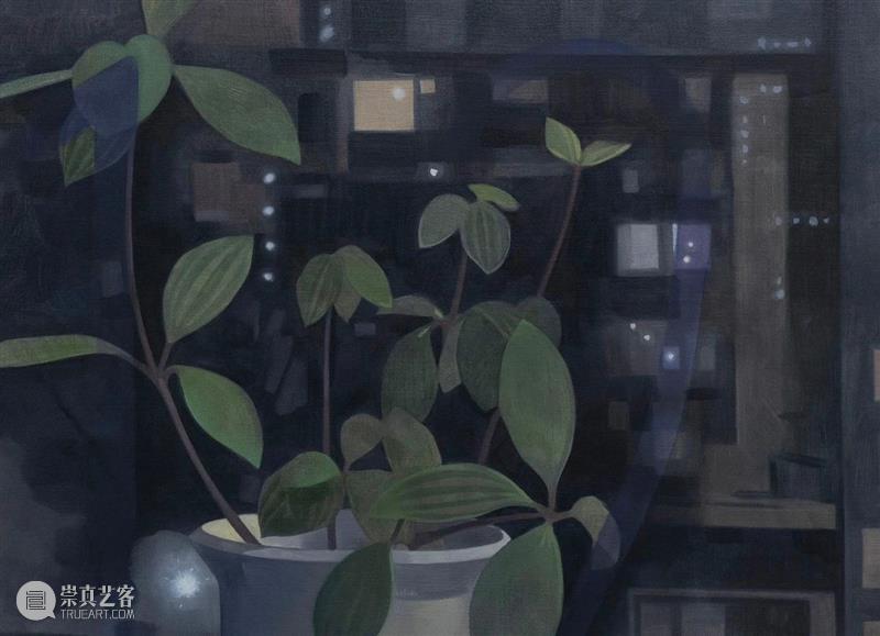 半透明：日常的安静与嘶喊｜黄宝莹过往创作回顾 崇真艺客