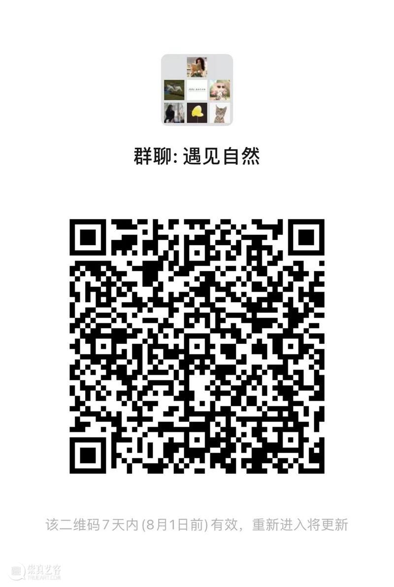 遇见自然少年版｜走进江南乌托邦自然村 崇真艺客