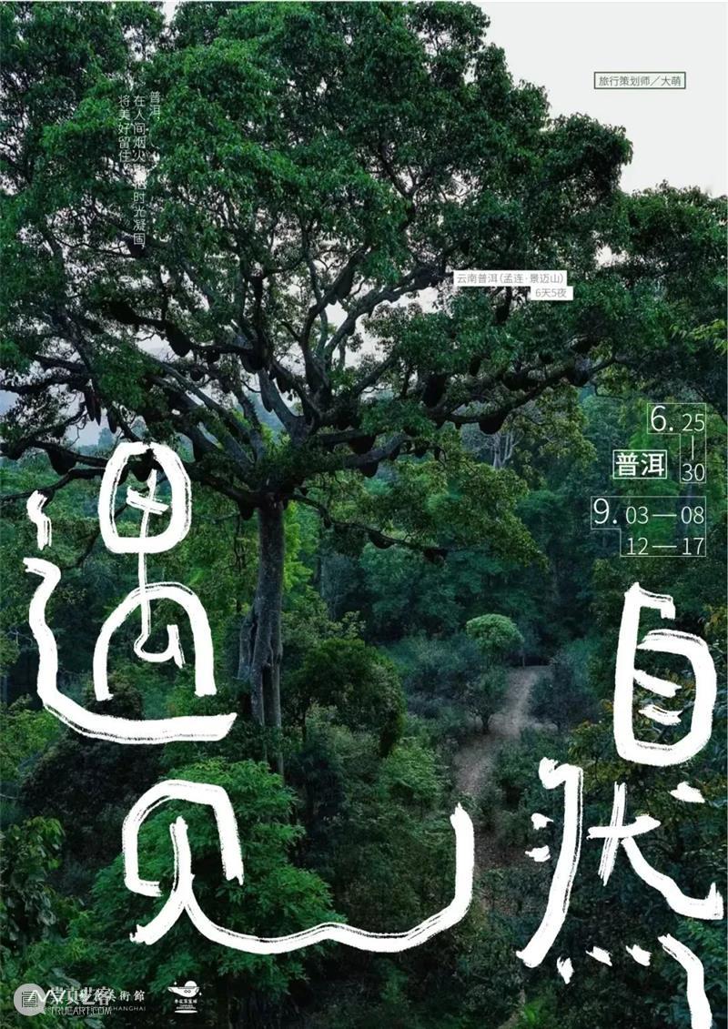遇见自然青年版｜ 向野而生·云南普洱 崇真艺客