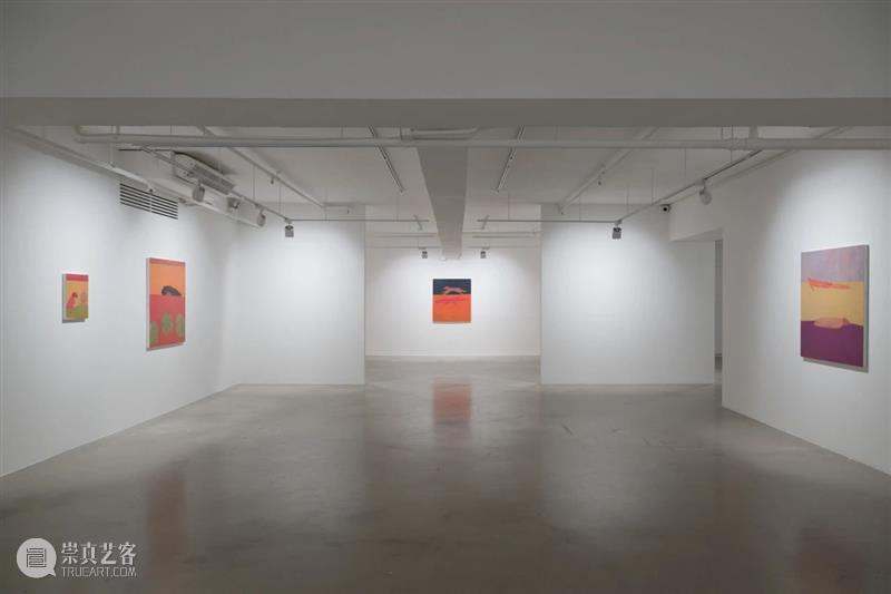 作品精选｜Eli de Haas个展“天地间” 崇真艺客
