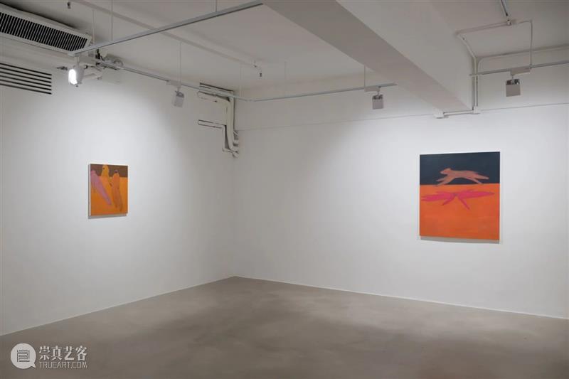 作品精选｜Eli de Haas个展“天地间” 崇真艺客