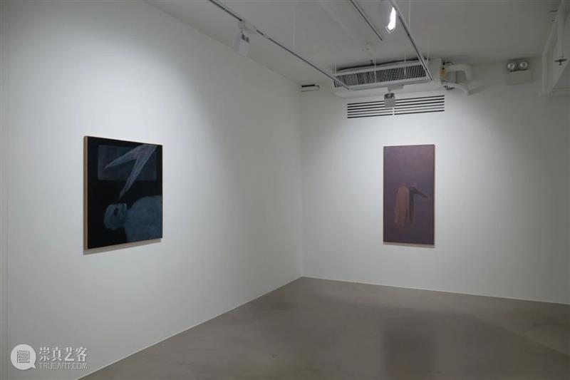 作品精选｜Eli de Haas个展“天地间” 崇真艺客