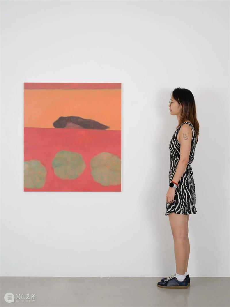作品精选｜Eli de Haas个展“天地间” 崇真艺客