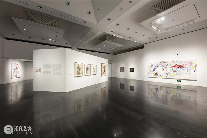 展览现场|几何:赵大钧绘画实践的基本线索 崇真艺客