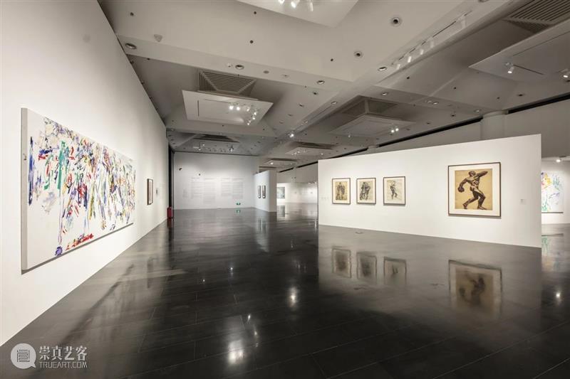 展览现场|几何:赵大钧绘画实践的基本线索 崇真艺客