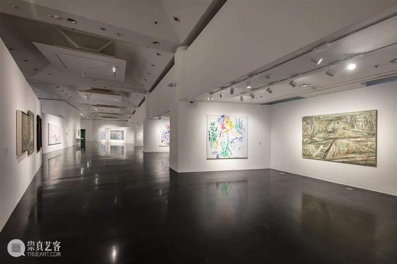 展览现场|几何:赵大钧绘画实践的基本线索 崇真艺客