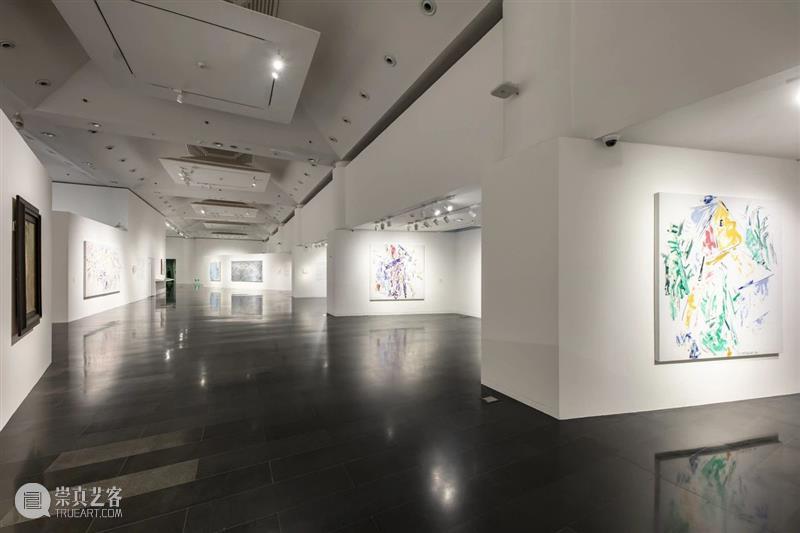 展览现场|几何:赵大钧绘画实践的基本线索 崇真艺客
