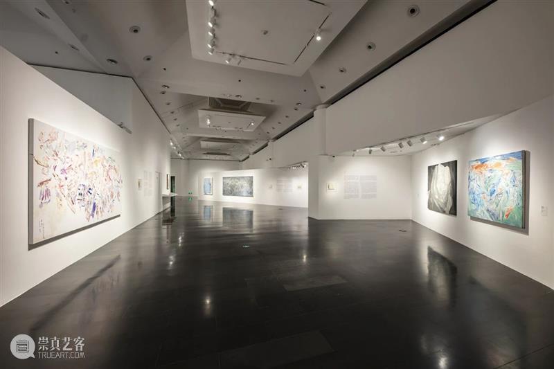 展览现场|几何:赵大钧绘画实践的基本线索 崇真艺客