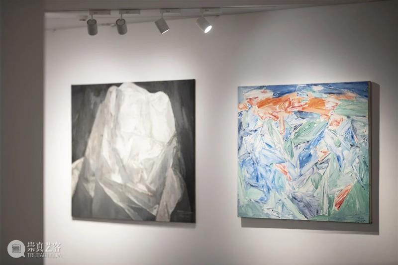 展览现场|几何:赵大钧绘画实践的基本线索 崇真艺客