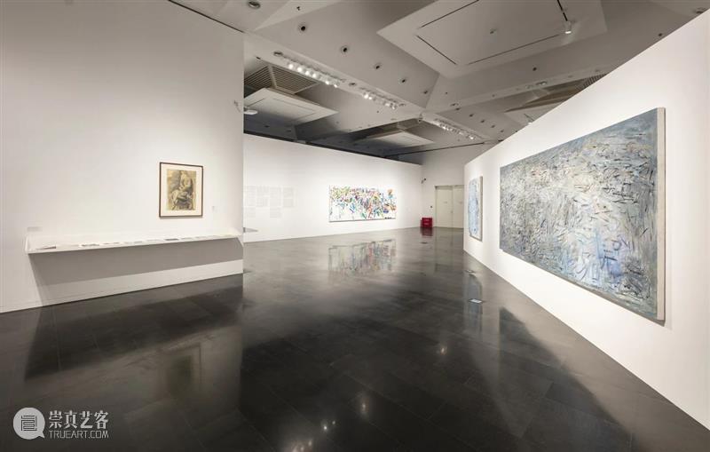 展览现场|几何:赵大钧绘画实践的基本线索 崇真艺客