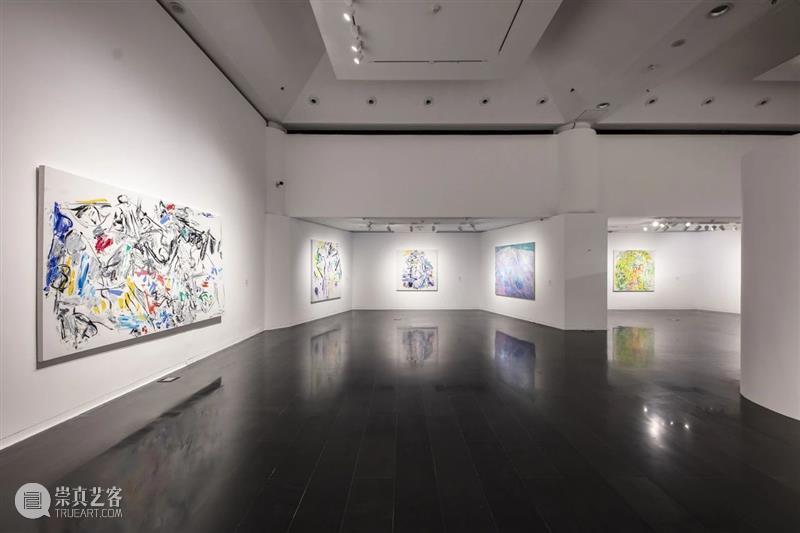 展览现场|几何:赵大钧绘画实践的基本线索 崇真艺客