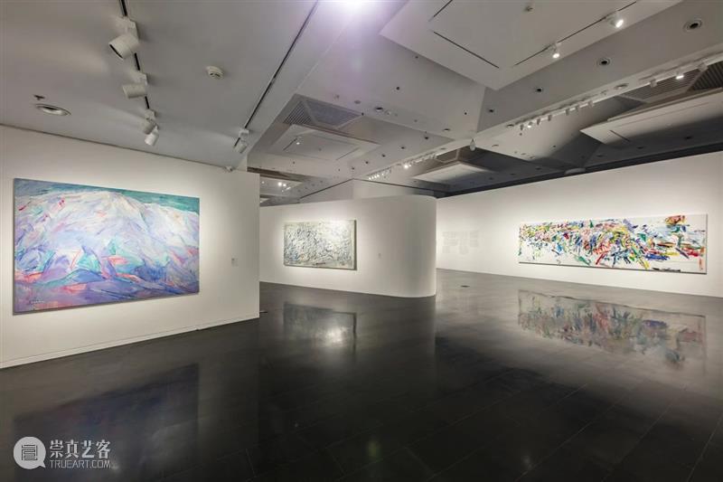 展览现场|几何:赵大钧绘画实践的基本线索 崇真艺客