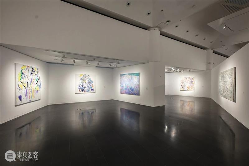 展览现场|几何:赵大钧绘画实践的基本线索 崇真艺客