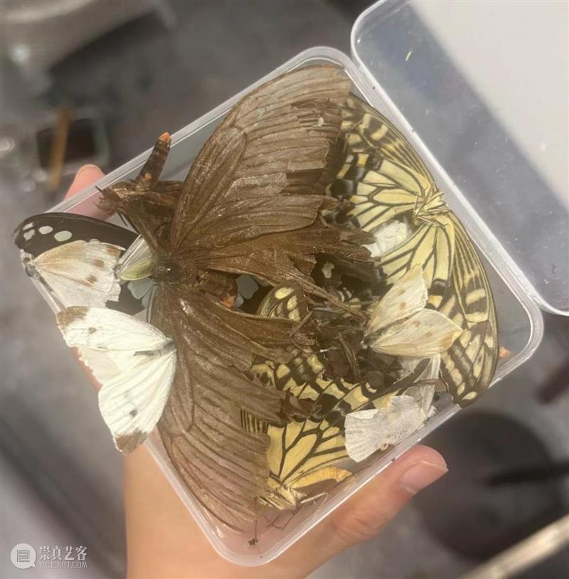 CYE × 袁逸 ：纯粹的场域 崇真艺客