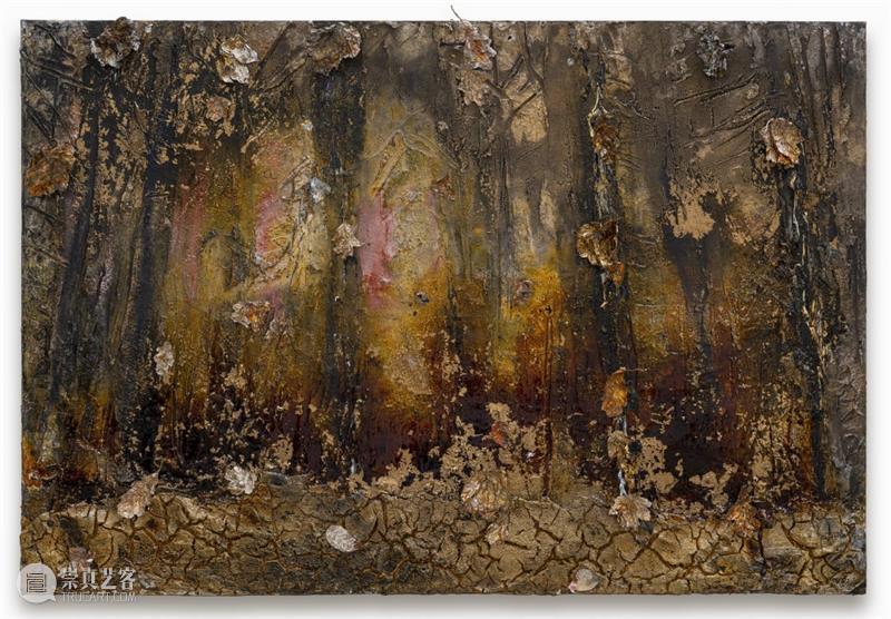 安塞姆·基弗_我的莱茵河 | 国家美术·关注 视频资讯 | 崇真艺客