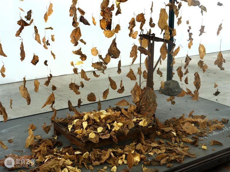 Ropac 萨尔茨堡展览|安塞姆·基弗:我的莱茵河 崇真艺客