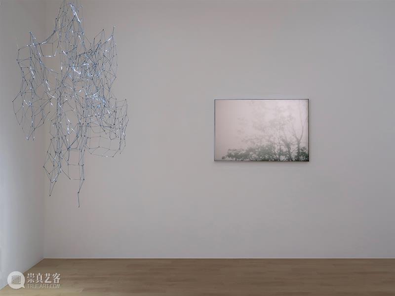 新氧艺O2art | 策展文章及展览现场 | 群展「风过疏竹」 崇真艺客