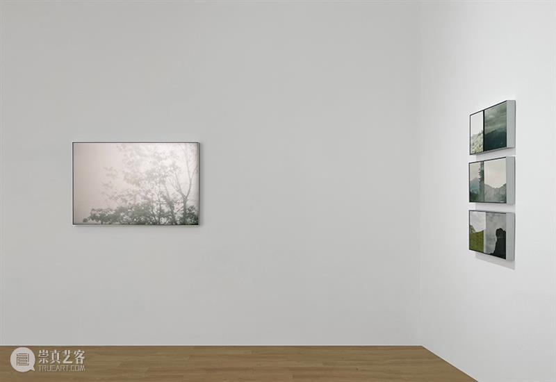 新氧艺O2art | 策展文章及展览现场 | 群展「风过疏竹」 崇真艺客