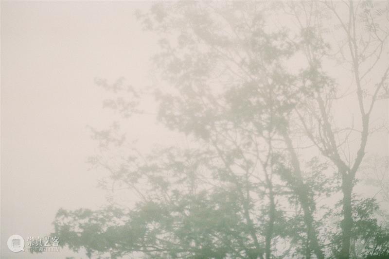 新氧艺O2art | 策展文章及展览现场 | 群展「风过疏竹」 崇真艺客