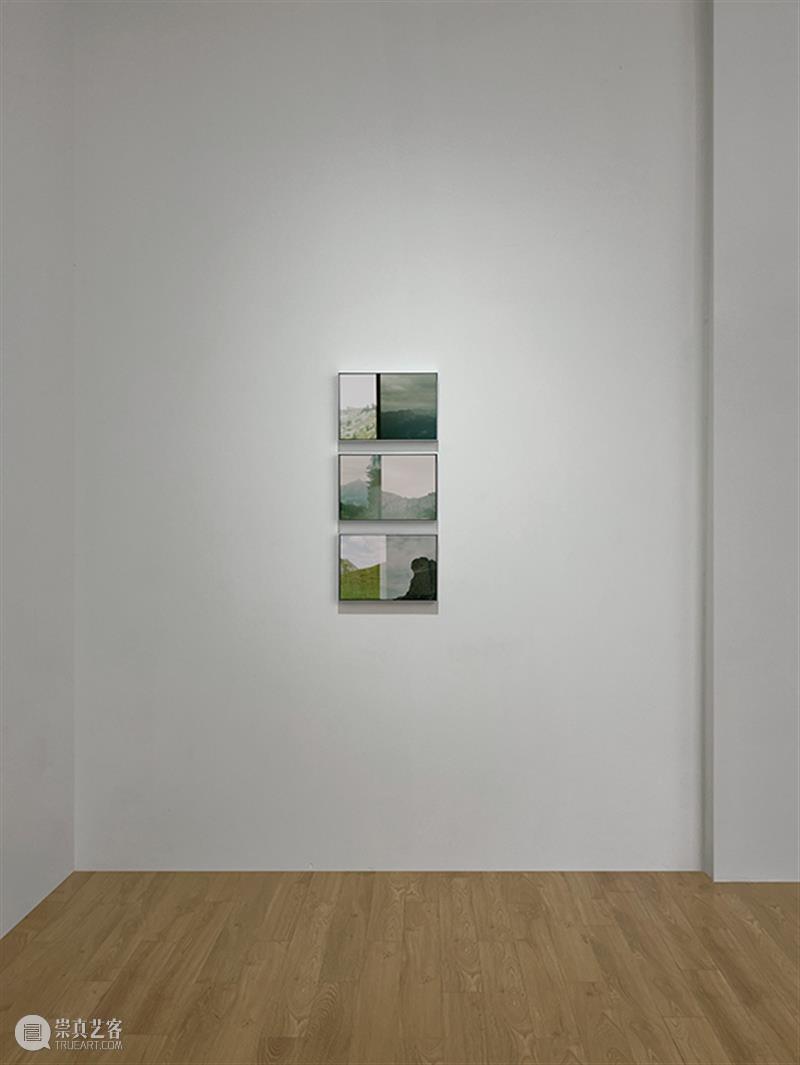新氧艺O2art | 策展文章及展览现场 | 群展「风过疏竹」 崇真艺客